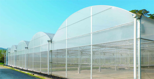 Film greenhouse 薄膜温室展示